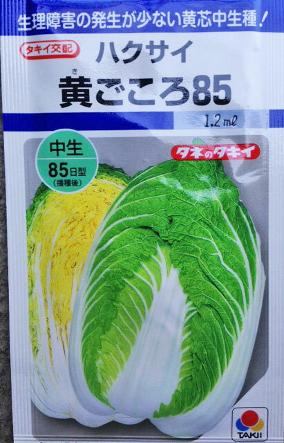 白菜種子 黄ごころ85 1ml 小袋【タキイ種苗】【黄芯白菜の種】【野菜種子】