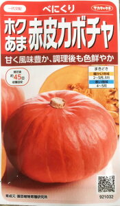 ホクあま赤皮カボチャ べにくり　6粒　農水省登録品種　(品種名　べにくり　海外持出禁止　公示農水省HP参照）【【南瓜の種】【野菜の種】