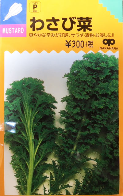 野菜種子　わさび菜　6ml　【野菜種子】