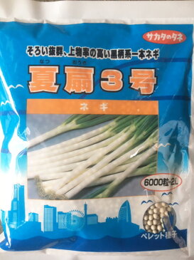 【郵便送料無料】夏扇3号　ペレット6000粒【根深ネギ種】【サカタのタネ】【野菜の種】