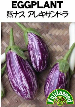 紫縞ナス種子　アレキサンドラ　20粒 　なす種子　【ナス種】