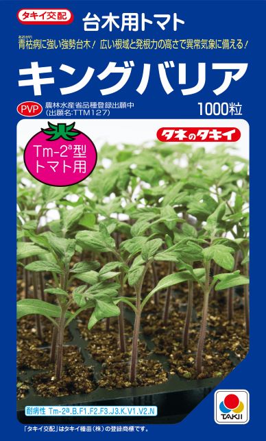 キングバリア　トマト用台木　種子　1000粒　農水省登録品種(品種名　TTM127)　【タキイ交配】【台木用..