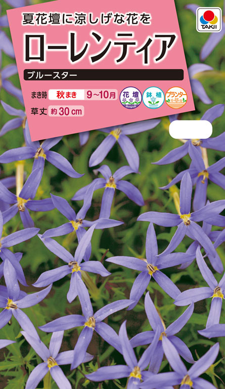 花タネ　NL300 ローレンティア ブルースター 小袋 [FZZ708]【花の種】【タキイのタネ】【ガーデニング】のサムネイル