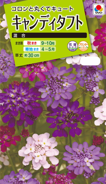 花タネ　NL200 キャンディタフト 混合 小袋 [FZZ195]【花の種】【タキイのタネ】【ガーデニング】のサムネイル