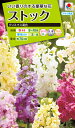 花種 NL200 ストック クリスマス混合 小袋 [FST130]【花の種】【タキイのタネ】【ガーデニング】