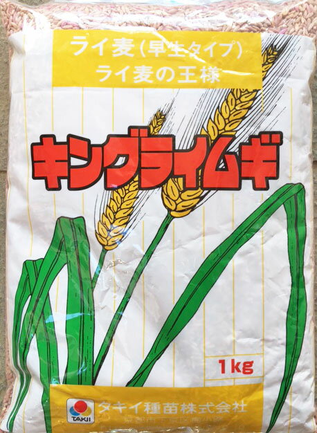 緑肥用種子　ライ麦　キングライ麦　1kg【緑肥、景観用の種】【タキイのタネ】