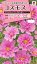 花種　NL300 コスモス ダブルクリック ローズボンボン 小袋 [FCS227]【花の種】【タキイのタネ】【ガーデニング】