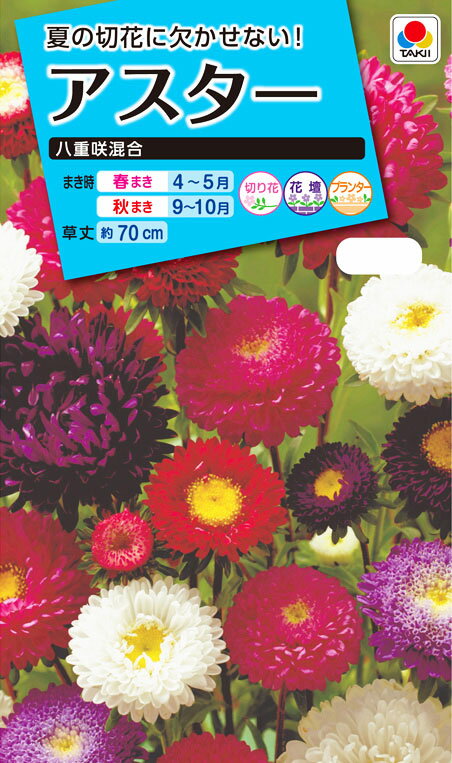 花種　NL150 アスター 八重咲混合 小袋 [FAS051]【花の種】【タキイのタネ】【ガーデニング】