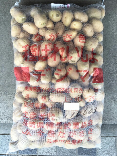 【秋じゃが　種イモ　予約】じゃがいも種　出島芋　サイズSS～L混合　【種芋】【春、秋栽培　ジャガイモ品種】【検品合格済】のサムネイル