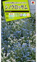 花種　NL200 シノグロッサム 小袋 [FSZA83【花の種】【タキイのタネ】【ガーデニング】