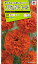 花種　NL200 アフリカンマリーゴールド キースオレンジ 小袋 [FMNA04]【花の種】【タキイのタネ】【ガーデニング】