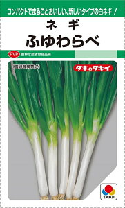 ふゆわらべ　短形根深ネギ　4.5ml　　農水省登録品種(品種名　ふゆわらべ　海外持出禁止　公示農水省HP参照）　　【タキイ種苗】【野菜種子】