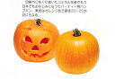 ハロウィンカボチャ　種子　　【観賞用】【南瓜の種】【野菜の種】