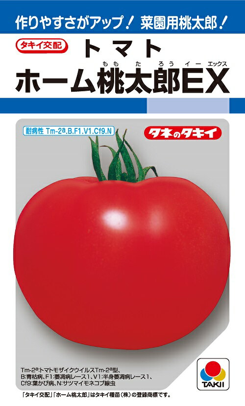 ホーム桃太郎EX　トマト　29粒　【トマト種】【タキイのタネ】【野菜の種】
