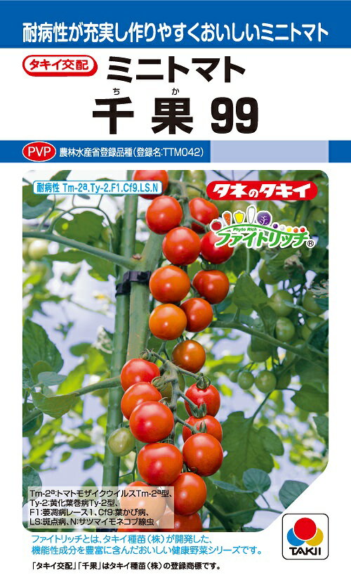 千果99 ミニトマト 12粒 農水省登録品種(品種名 TTM042)【トマト種】【タキイのタネ】【野菜の種】