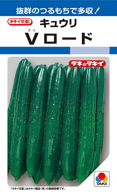 タキイ Vロード 10粒 きゅうり種 農水省登録品種(品種名 Vロード)【キュウリの種】【野菜の種】