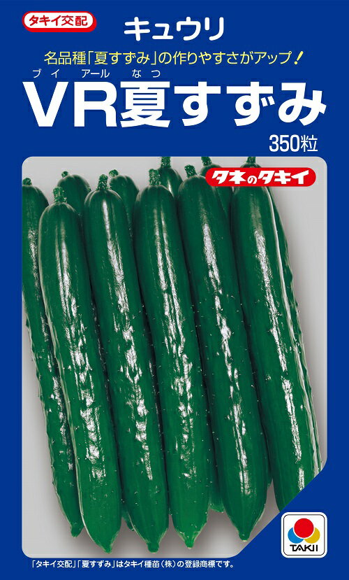 VR夏すずみ キュウリ 350粒 【きゅうり種】【タキイのタネ】【野菜の種】