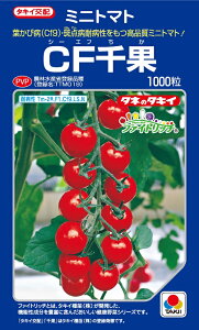CF千果 ミニトマト 1000粒 農水省登録品種(品種名 TTM019)【トマト種】【タキイのタネ】【野菜の種】【機能性野菜】【高リコピン】【ファイトリッチシリーズ】