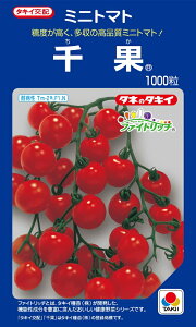 千果 ミニトマト 1000粒 【トマト種】【タキイのタネ】【野菜の種】【機能性野菜】【高リコピン】【ファイトリッチシリーズ】