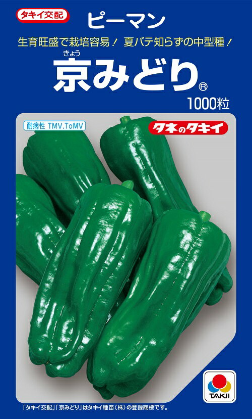 京みどりピーマン種　1000粒　ピーマン種子　【ピーマン種】【タキイのタネ】【野菜の種】