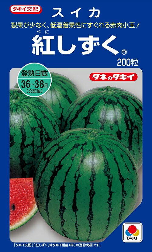 紅しずく 200粒 西瓜種子【スイカ種】【タキイのタネ】【野菜の種】