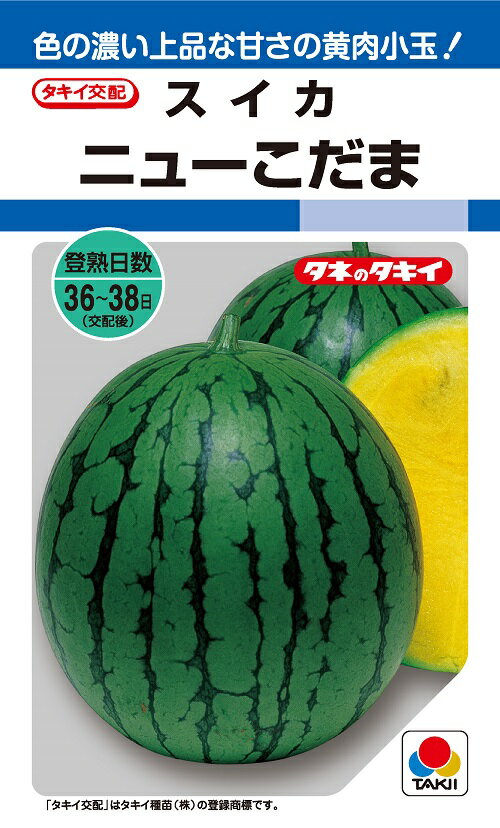 ニューこだま 9粒 大玉スイカ種子【西瓜種】【タキイのタネ】【野菜の種】