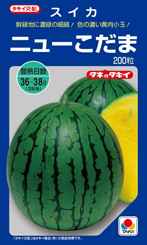注）こちらの商品は野菜の種子です。 注)流動在庫につき、メーカー在庫キレ等によりご注文を キャンセルまた多少お時間頂く場合がございますので誠に恐れ入りますが、あらかじめご了承頂きますようよろしくお願い致します。 注）まき時期をご確認の上、ご...