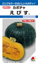 えびす　カボチャ　19粒　野菜種子　小袋【南瓜の種】【タキイのタネ】【野菜の種】