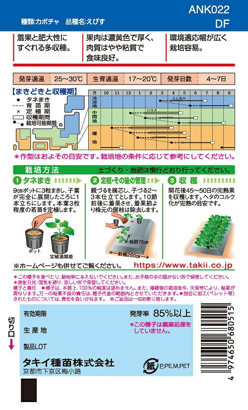 えびす　カボチャ　19粒　野菜種子　小袋【南瓜の種】【タキイのタネ】【野菜の種】