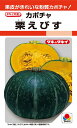 栗えびす カボチャ 13粒 【南瓜の種】【タキイのタネ】【野菜の種】