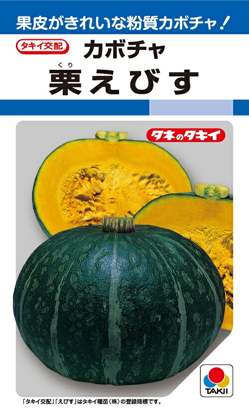 栗えびす　カボチャ　19粒　【南瓜の種】【タキイのタネ】【野菜の種】