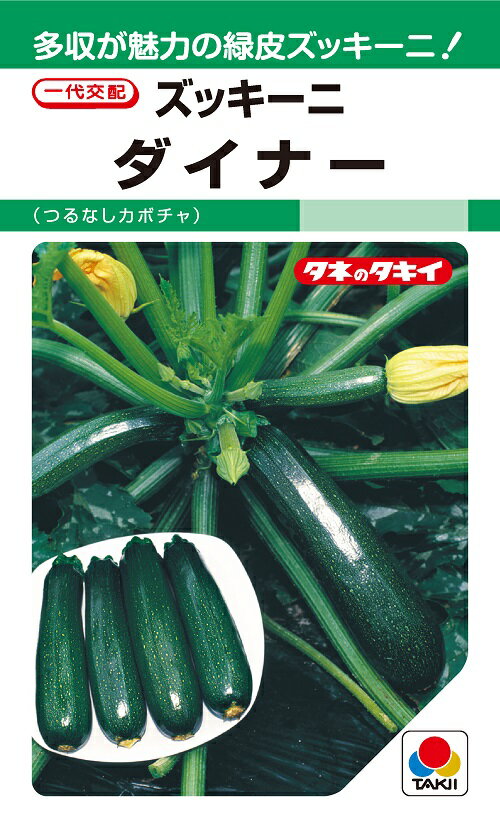 ズッキーニ種子　ダイナー　つるなし南瓜　13粒　【つるなし南瓜の種】【タキイのタネ】【野菜の種】