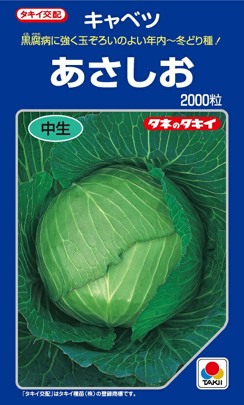 あさしお　キャベツ種子　2000粒　　中生種　年内〜冬採り　寒玉系【野菜種子】【タキイ種苗】