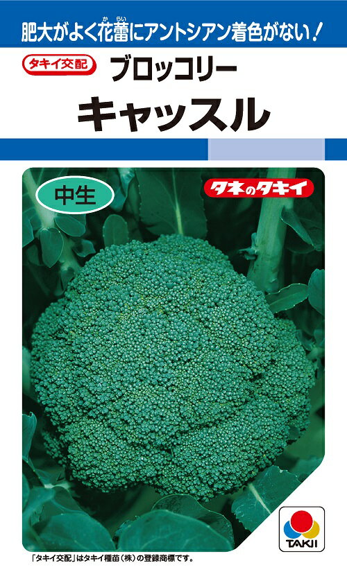 キャッスル　ブロッコリー種子　1.1ml　中生種　　