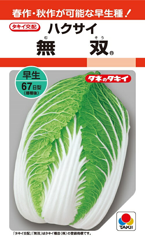 白菜種子 無双 1.1ml小袋【タキイ種苗】【白菜の種】【野菜種子】