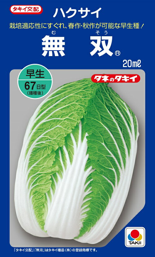 白菜種子 無双 20ml 小袋【タキイ種苗】【白菜の種】【野菜種子】