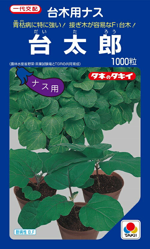 台太郎　ナス用台木　種子　1000粒　農水省登録品種(品種名　台太郎)　【タキイのタネ】【台木用種子】