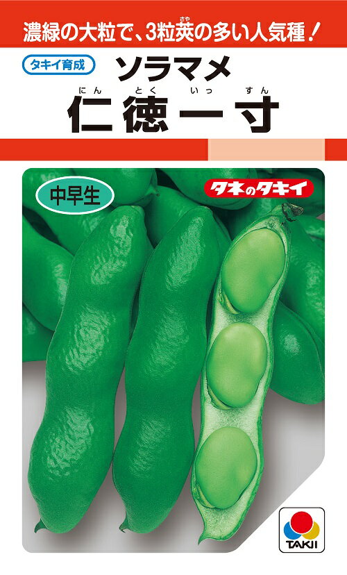 仁徳一寸 ソラマメ種子 1dl 農水省登録品種(品種名 仁徳一寸) 【タキイ種苗】【野菜種子】