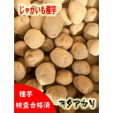 じゃがいも種芋　キタアカリ　　北海道産　【令和6年新種馬鈴薯種子】　【馬鈴薯種】【種芋】【検品合格品】