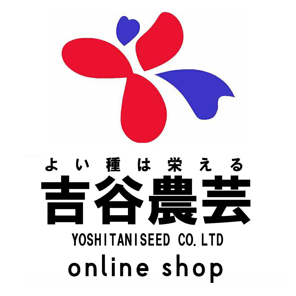 Shop icon