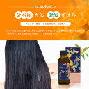 金木犀ヘアトリートメントオイル 65mL/ ヘアオイル 洗い流さないトリートメント 金木犀 艶髪 さらさら ダメージ 乾燥 くせ毛 椿オイル