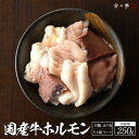 【全国の百貨店お墨付き】国産牛ホルモン(ミックス)/250g お取り寄せ 九州 グルメ 鍋 ホルモン もつ 贈答用 贈り物 内祝い ギフト 記念日 誕生日 プレ...