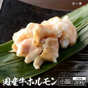 【全国の百貨店お墨付き】国産牛ホルモン(小腸)/200g お取り寄せ 九州 グルメ 鍋 ホルモン もつ 贈答用 贈り物 内祝い ギフト 記念日 誕生日 プレゼン...
