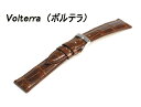 MORELLATO　モレラート　時計バンド　VOLTERRA ( ボルテラ )アリゲーター　U0856056【新品お取り寄せ品】