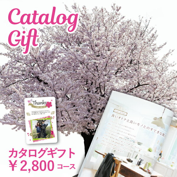 入学祝お返しカタログギフト写真付きメッセージカードがかわいい2800円コース入学内祝い入園卒業卒団グルメ旅行初節句内祝い出産内祝