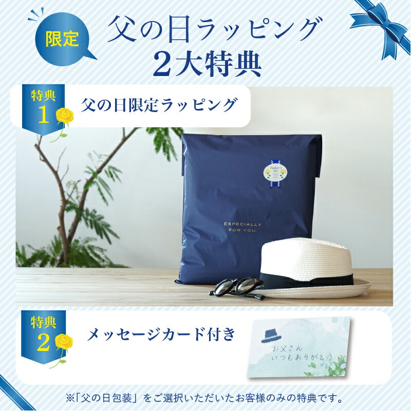 〔父の日 お届け指定可能 無料ラッピング〕 シニアファッション メンズ 80代 70代 60代 90代 春夏 胸ワッペン 鹿の子無地半袖ポロシャツ おじいちゃん 服 プレゼント 紳士服 男性 祖父 父の日 プレゼント 実用的 2