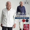 メンズ 80代 70代 60代 90代 プレゼント 高齢者 【老人ホームで着る服】シニアファッション 春夏秋冬 装生 乾燥機対応 紳士 鹿の子 選べる長袖ポロシ...