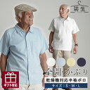 メンズ 80代 70代 60代 90代 プレゼント 高齢者 【乾燥機対応 半袖ポロ】シニアファッション 春夏 装生 乾燥機対応 紳士 鹿の子 選べる半袖ポロシャ...