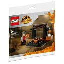 レゴLEGO 30390 恐竜マーケット　ポリ袋JURASSICWORLDDOMINION 　 Dinosaur Market ジュラシックワールド 恐竜市場 袋