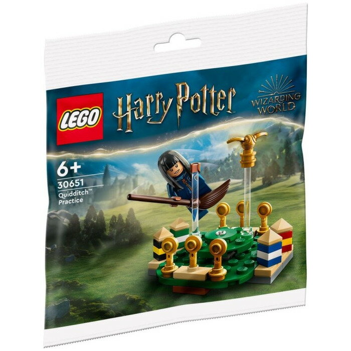 LEGO　Harry Potter 30651 Quidditch practice　レゴ ハリーポッター クィディッチの練習